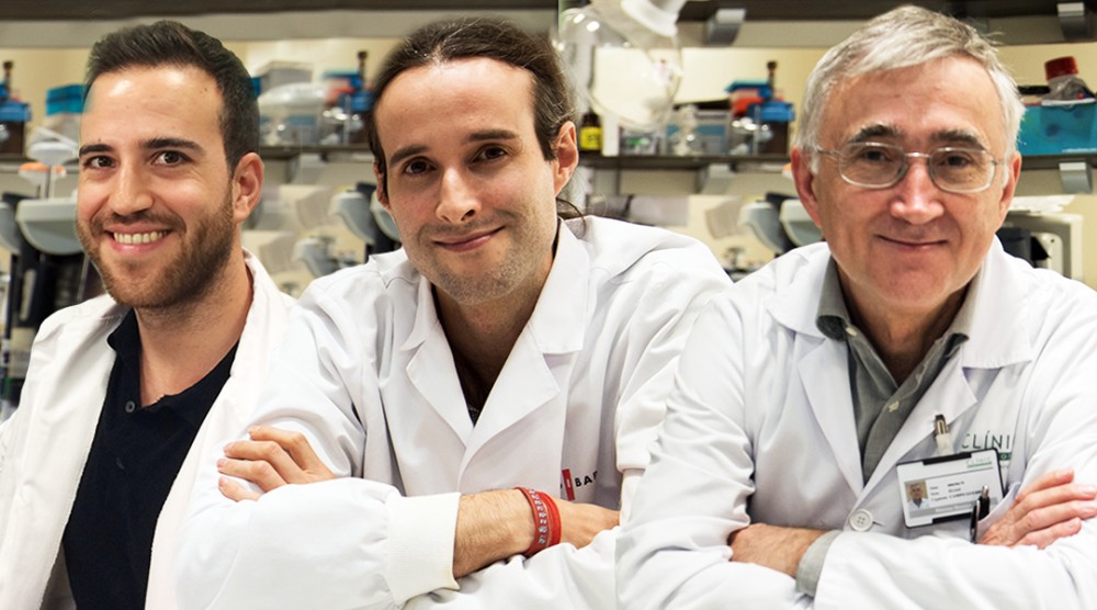 Un ceas epigenetic ce prezice evoluţia pacienţilor cu cancer, creat de o echipă internaţională de cercetători